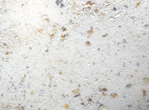 Zen garden sabbia - sabbia, ostrica